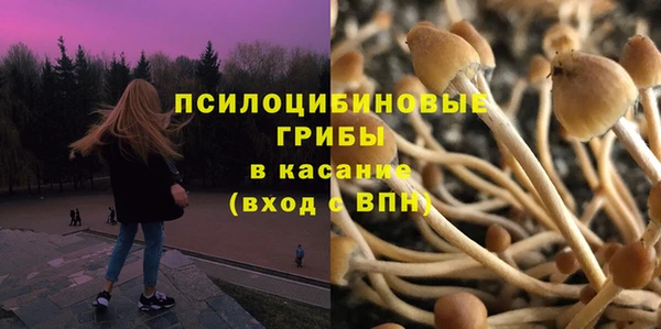гидропоника Баксан