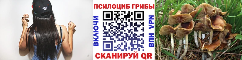 мега онион  Нижняя Тура  Псилоцибиновые грибы прущие грибы 